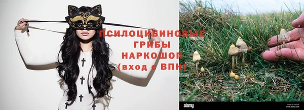 кокс Кукмор