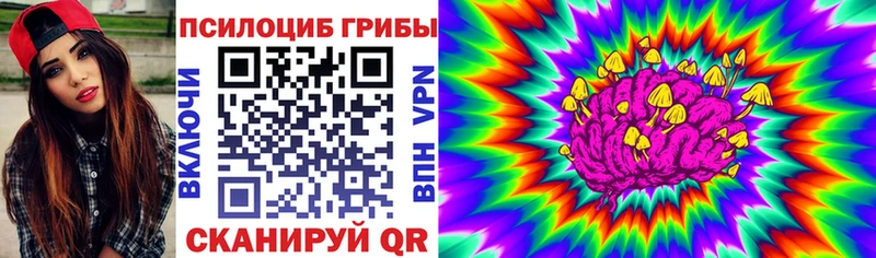Псилоцибиновые грибы мицелий Кушва